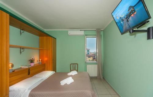 维亚雷焦Hotel Villa Benvenuti的一间卧室配有一张床和一台平面电视