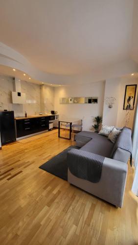 米兰San Siro Terrace Attic Apartment Milano的带沙发的客厅和厨房