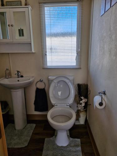 Lincolnshire35 Irby way的一间带卫生间、水槽和窗户的浴室
