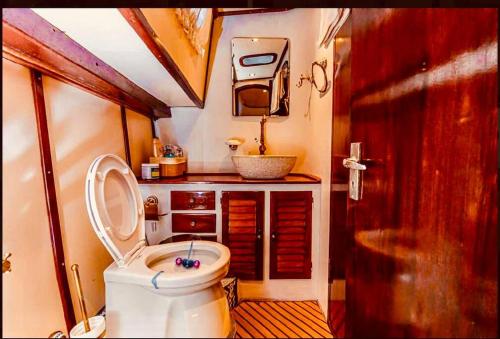 尼亚米卡尼奥纳Σκάφος - Νέα Μηχανιώνα, Ελλάδα的一间带卫生间和水槽的小浴室