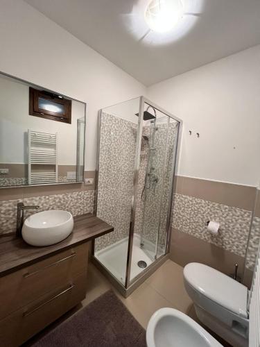 蒙泰内罗迪比萨恰Stanze Borgo Antico的带淋浴、卫生间和盥洗盆的浴室