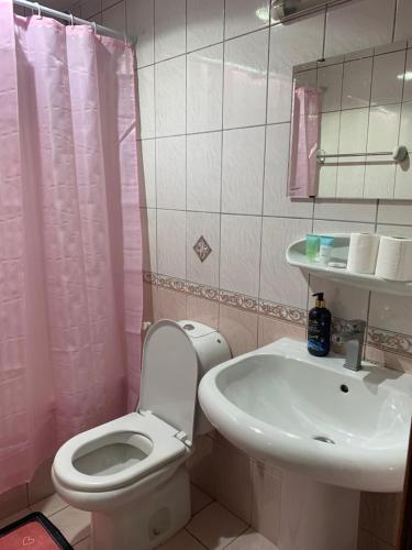 沙迦Studio Apartment的粉红色的浴室设有卫生间和水槽