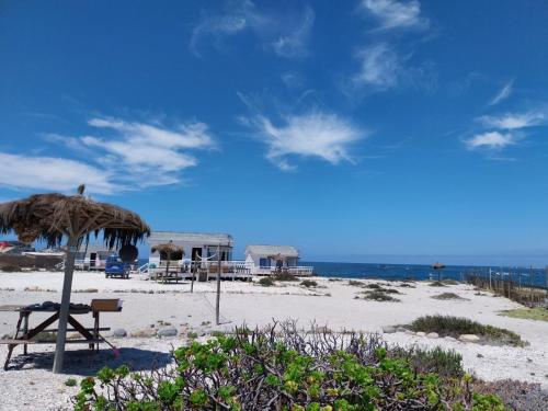 蓬塔乔罗斯Refugio Humboldt的一个带草伞和长凳的海滩