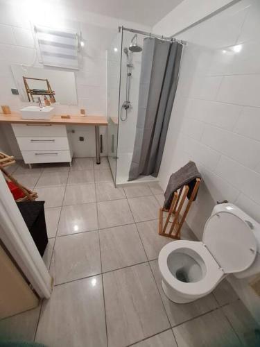 圣罗斯Chalet des laves的浴室配有卫生间、盥洗盆和淋浴。