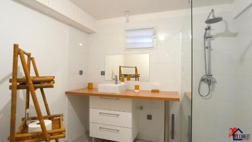 圣罗斯Chalet des laves的一间带水槽和淋浴的浴室