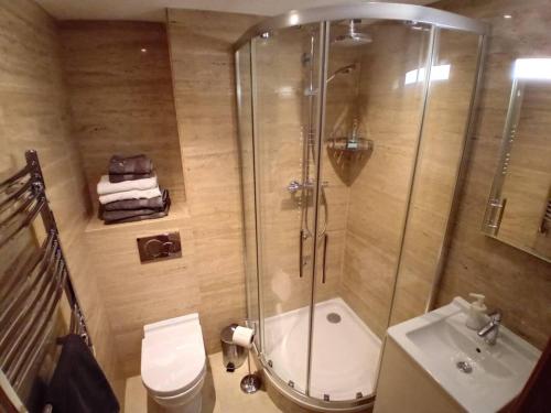 直布罗陀Urban Oasis at Luxurious Ocean Village的带淋浴、卫生间和盥洗盆的浴室