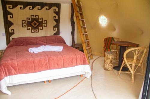 Tafí ViejoWillkay Glamping Raco Tucumán的一间卧室设有一张床和梯子