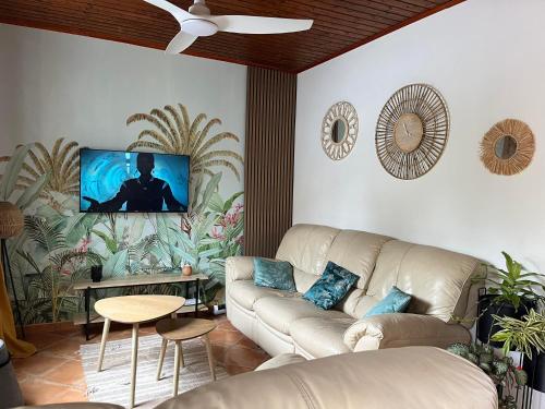 圣若瑟Anaïs Pool的客厅配有沙发和墙上的电视