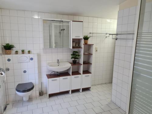 汉堡Ferienwohnung Camping Buchholz的一间带水槽、卫生间和镜子的浴室