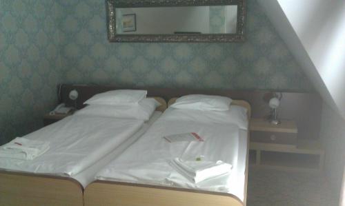Strančice扎马克博世托德酒店的卧室配有一张壁挂镜子的床
