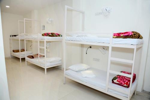 新德里Charlie's Hostel By Purple India的一间设有白色双层床的房间