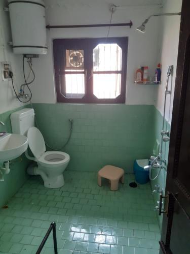 Bāgh ChandpuraRose Bowl Guest House Homestay的绿色浴室设有卫生间和水槽