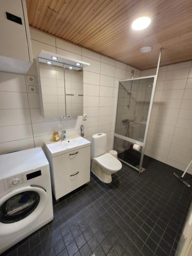 图尔库Viihtyisä täysin kalustettu ja varustettu yksiö Logomolla 1vrk-36kk的一间带洗衣机和卫生间的浴室