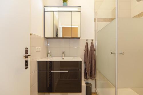 奥斯赛拜-屈隆斯博恩Stolz-Butze Whg 19的一间带水槽和淋浴的浴室