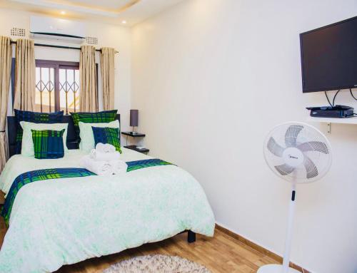 卢萨卡Z Apartment (4bedroom)的一间卧室配有一张带风扇的床铺和一台电视机。