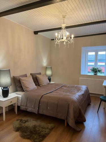 Dragsgaard Herregård的一间卧室配有一张大床和一个吊灯。