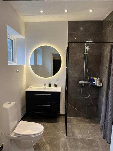 Dragsgaard Herregård的浴室配有卫生间、盥洗盆和淋浴。