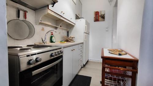 弗洛伊塔Economy apartment的小厨房配有炉灶和台面