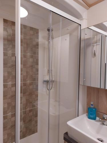布德Alphi 4的一间带玻璃淋浴和水槽的浴室