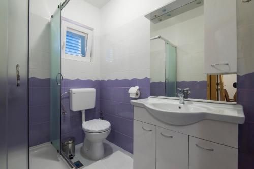 苏科尚Vila Niko Dalmacija的一间带卫生间和水槽的浴室
