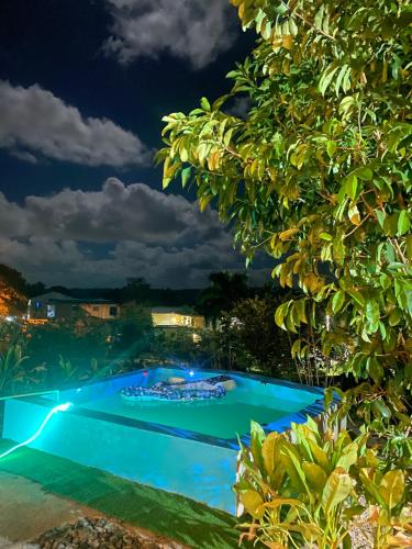 圣斐利-银港Villa Alpina的享有游泳池的夜间景致