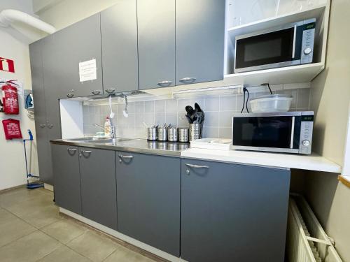 库奥皮奥海玛尼酒店的厨房配有灰色橱柜和微波炉烤箱