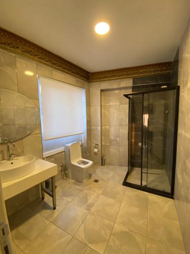 伊斯坦布尔Yalı Houses的浴室配有卫生间、盥洗盆和淋浴。