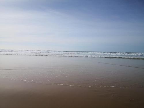 比斯卡罗斯海滩Appartement Biscarrosse plage front de mer 4 personnes的一片空旷的海滩,背靠大海