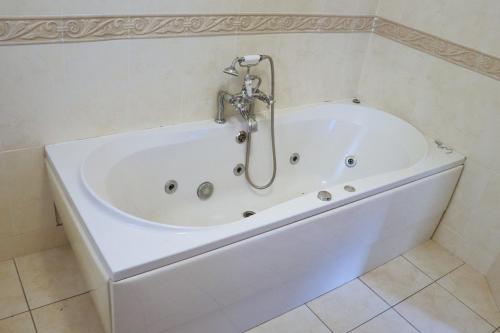 科克Deluxe Dwelling - 15 mins from Cork City/Airport的浴室设有白色浴缸。