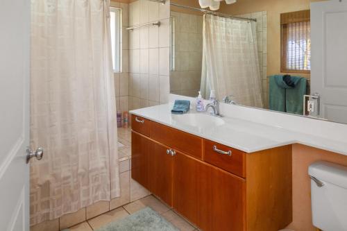 基黑Orchid Suite in South Maui, across from the beach, 1 bedroom sleeps 4的一间带水槽和淋浴的浴室