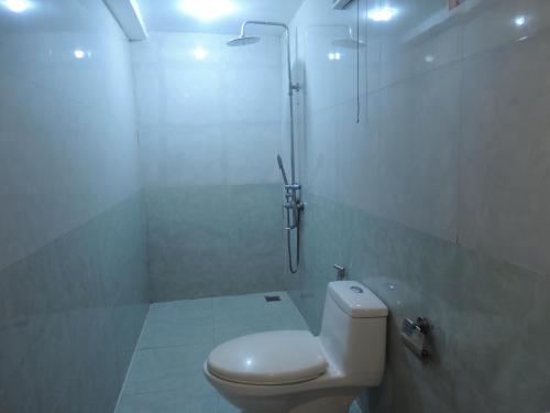 万荣Vang Vieng Sky Mountain View Hotel的白色的浴室设有卫生间和淋浴。