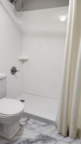 法兰克福法兰克福戴斯酒店的一间带卫生间和淋浴帘的浴室