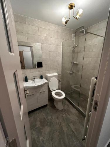 彼得罗沙尼Cozy Home Studio的带淋浴、卫生间和盥洗盆的浴室
