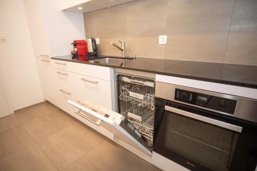 巴塞尔Modern apartment in Basel with free BaselCard的厨房配有洗碗机和水槽。