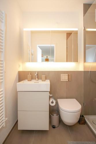 巴塞尔Modern apartment in Basel with free BaselCard的一间带水槽、卫生间和镜子的浴室