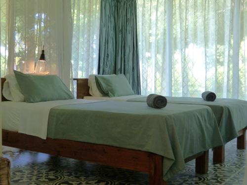 马普托Ancha's Oasis的一间卧室配有床和带窗帘的窗户