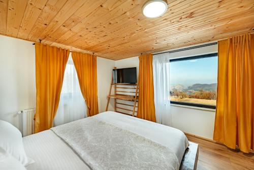 克卢日-纳波卡Casa Davana的一间卧室设有一张床和一个大窗户