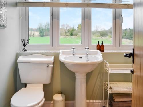 HaytonCartwheel Cottage的一间带卫生间和水槽的浴室以及两个窗户。