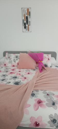 托莱多El susurro del tajo. El rio的卧室内的两张床,上面有粉红色的鲜花