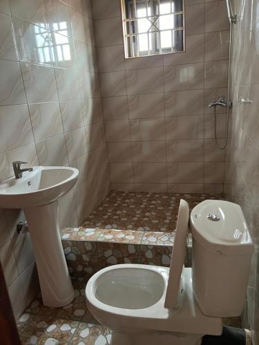 AbomanSerene Hostel的一间带卫生间和水槽的浴室