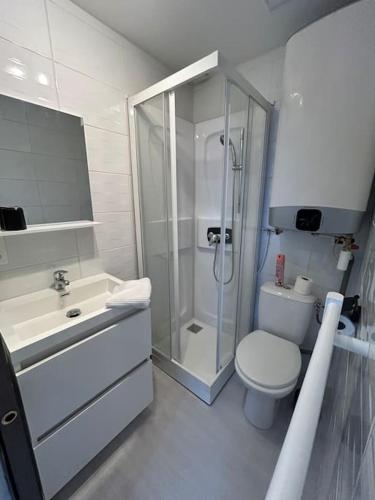 康布雷Martine: appartement 1er étage的带淋浴、卫生间和盥洗盆的浴室