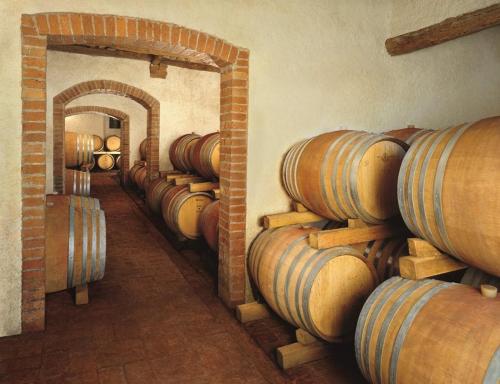 穆尔洛Tenuta Casabianca的酒窖里的一排木桶