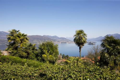 巴韦诺Villa Anna Isole Borromee的享有山丘上棕榈树湖泊的美景
