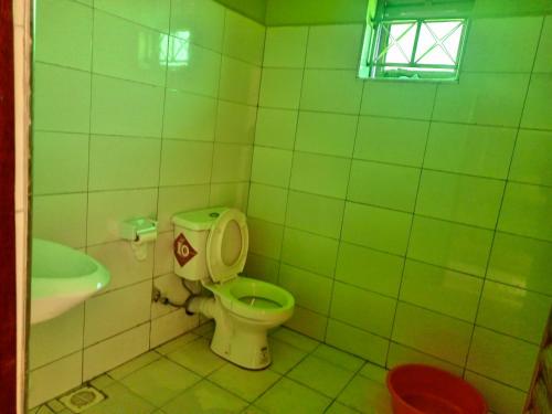 卡巴莱African Tent Resort的绿色浴室设有卫生间和水槽