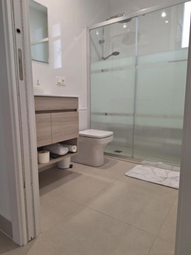 昂代Appartement T3 en villa的一间带卫生间和玻璃淋浴间的浴室