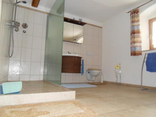 SchernfeldFerienwohnung - b50233的带淋浴和卫生间的浴室