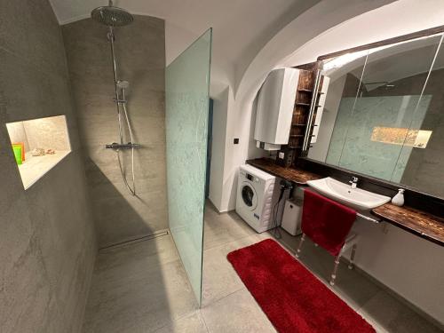 LambichlWood Apartement的带淋浴、盥洗盆和洗衣机的浴室