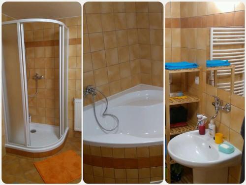 SněžnéChalupa na Vysočině的带淋浴和浴缸的浴室的三幅图片
