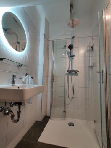 里德因克瑞斯Ort 245的浴室配有盥洗盆和带镜子的淋浴