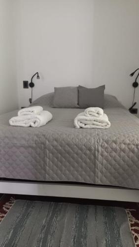 罗卡将军市Cubil Amarillo. Casa conteiner 1 dormitorio的卧室内的一张带两个枕头的床